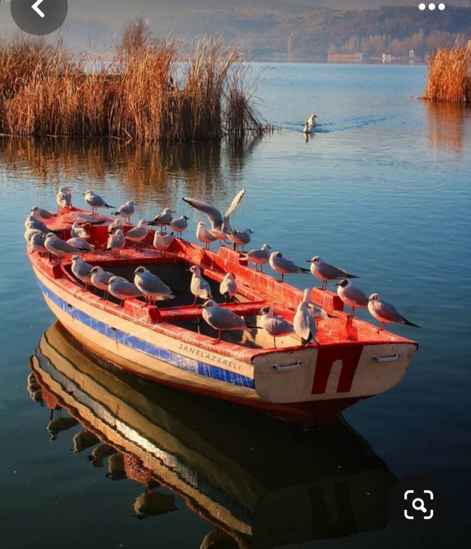 Screenshot_20231201_000943_Pinterest