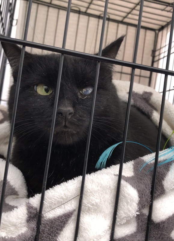 3C98E088-5E9F-41C8-AEE0-0F8565F249B4