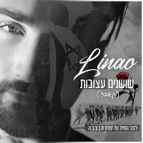 תמונה