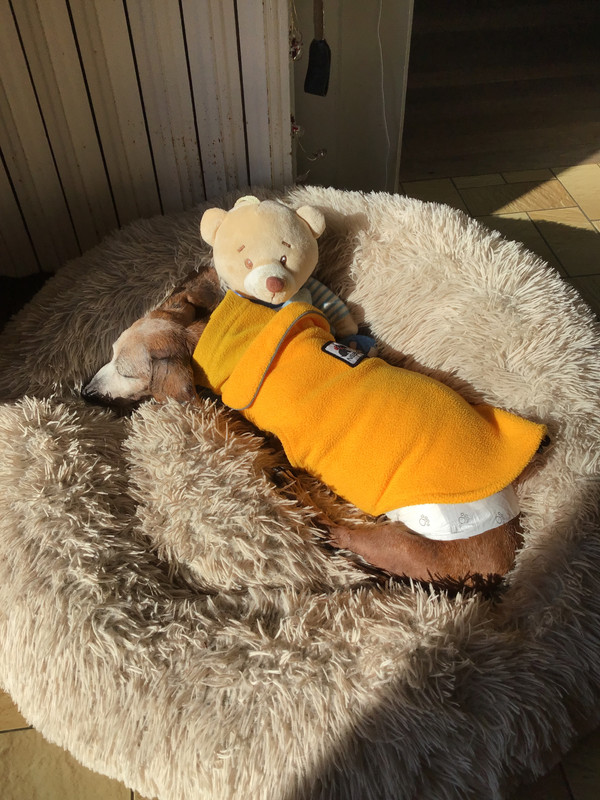 [Image: ED5-C2697-B1-EB-423-E-AFD2-77-D7-FB97-BF59.jpg]