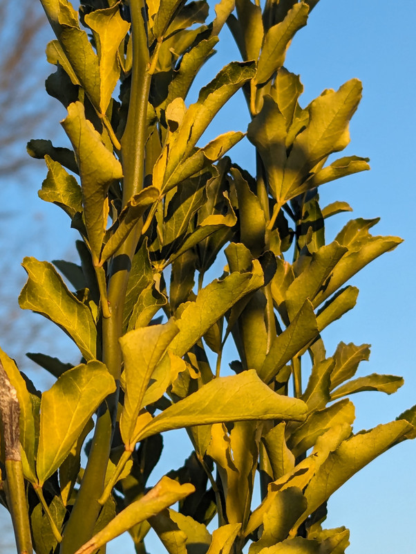PXL_20231208_205826162