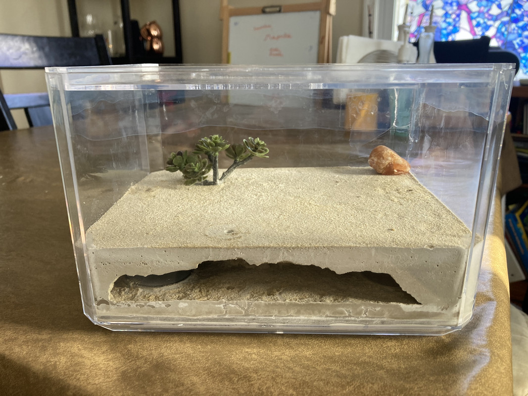 92D45638-878C-4890-8663-630AFB25565E