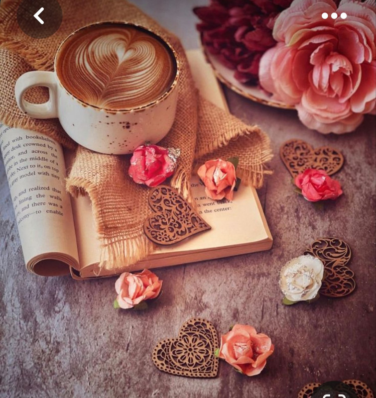 Screenshot_20230517_003319_Pinterest