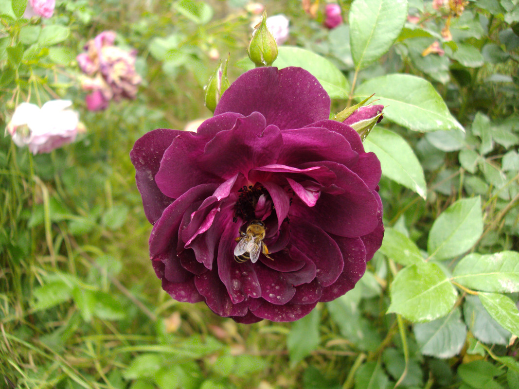 039