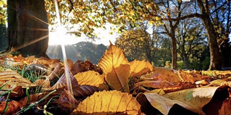 9825029A-17A3-43E2-BCE1-3EC9E8F0CB05