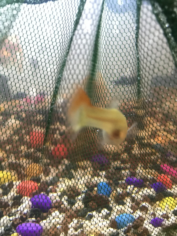 AB5A81D3-EB8E-4CC8-9ECE-367C4CC5674C