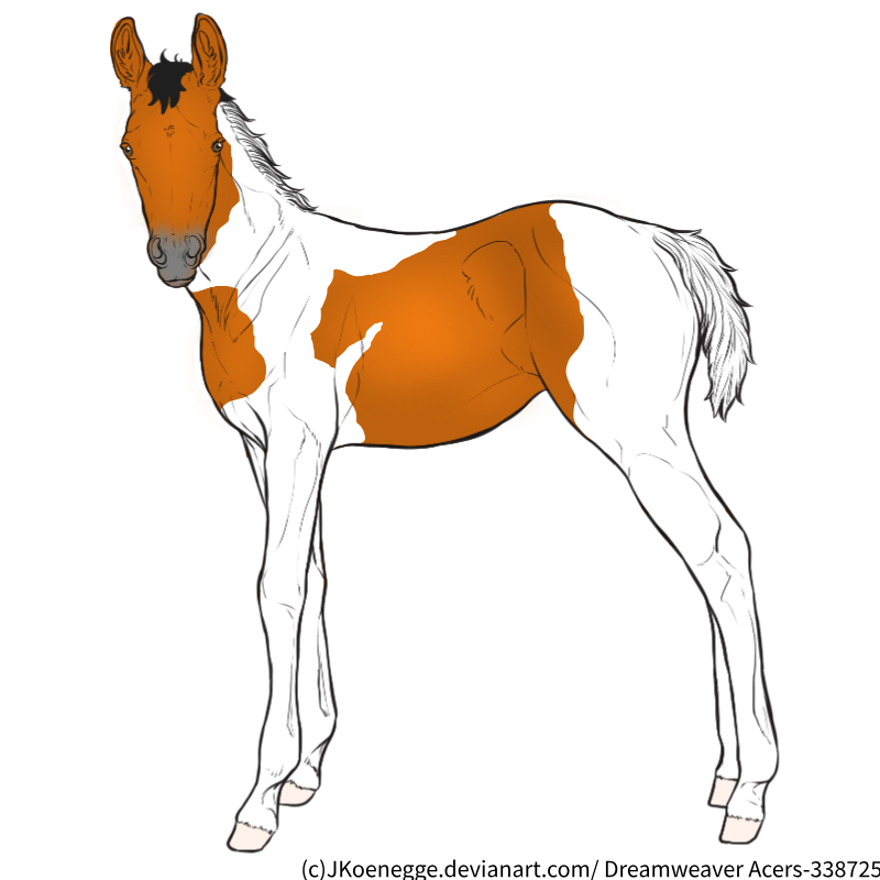 Mystery-Foal-01-B1-Sold.png