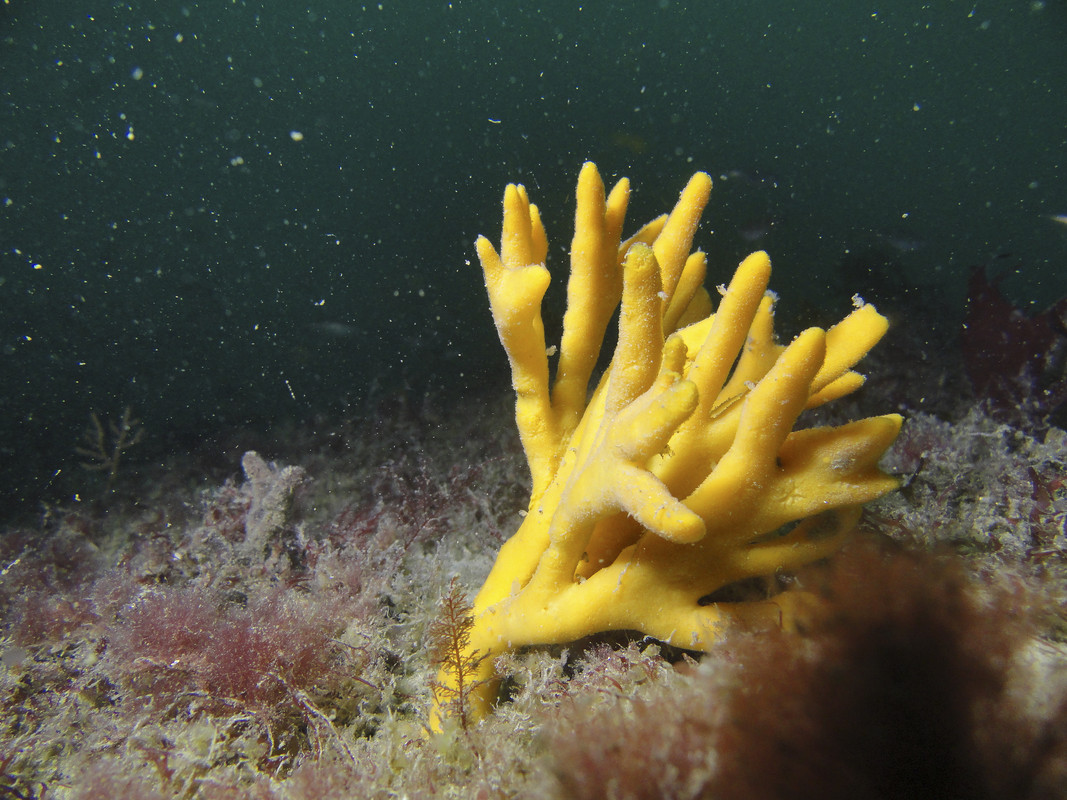 06004_11-01-3TH-00044