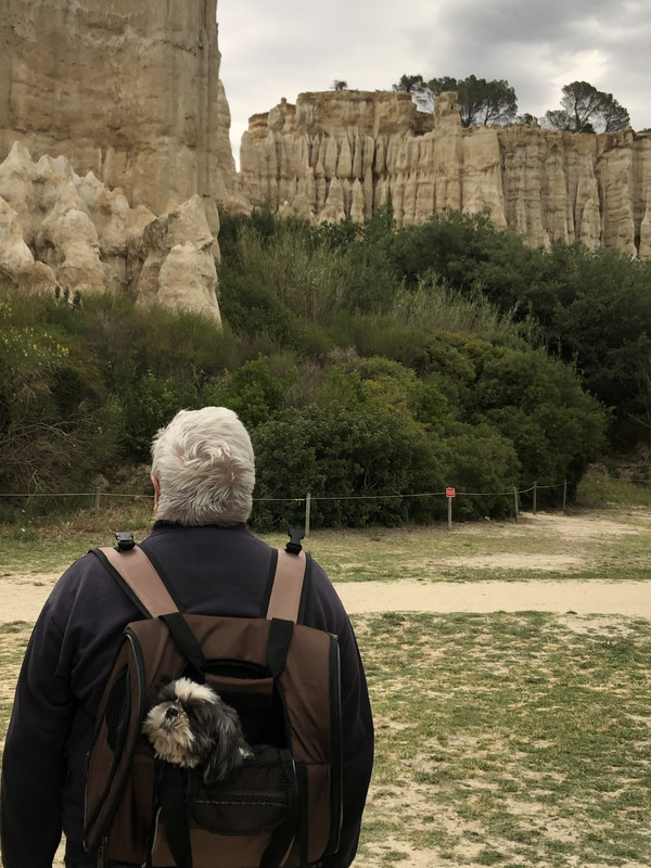 [Image: 8-C0-C3654-8-E2-D-4914-872-E-0181-A5111-EC2.jpg]