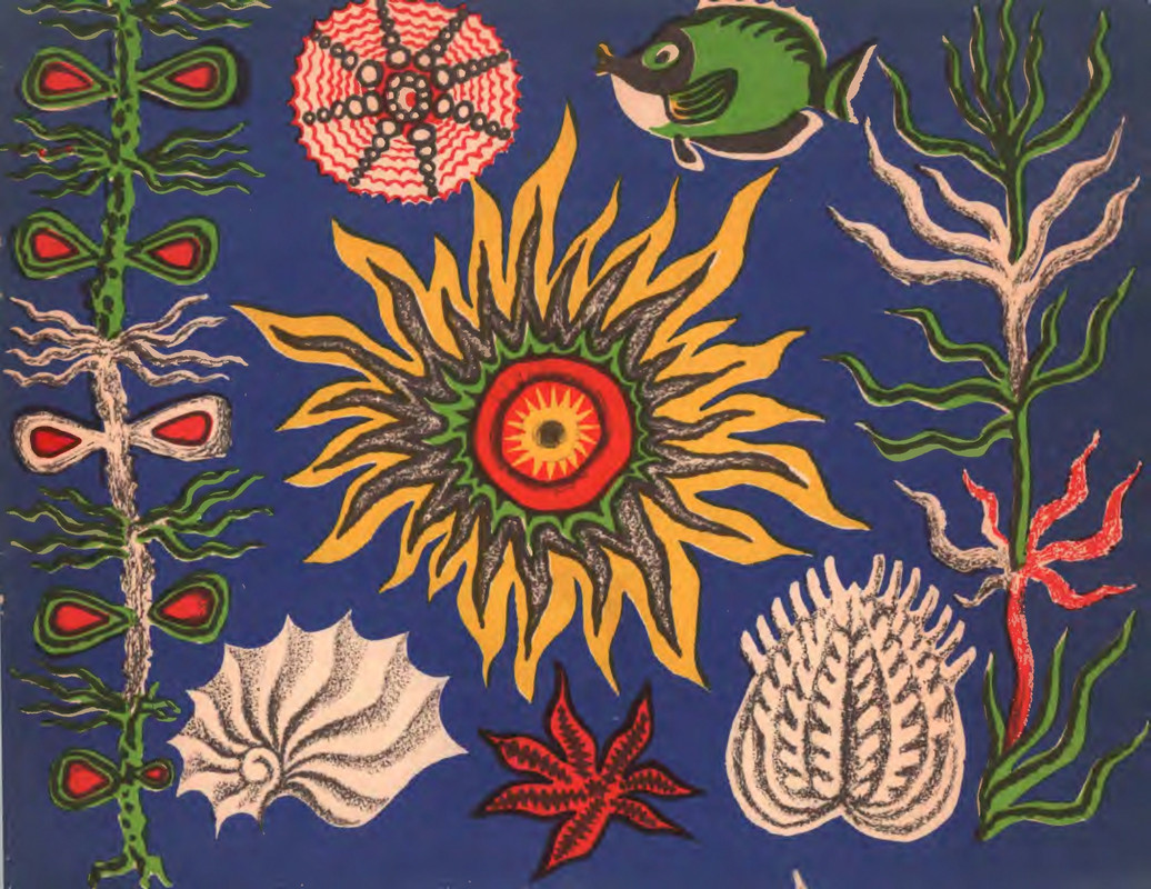 Шульжик В. - Голубая бухта - 1970_page-0019