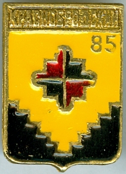 К?АСНОБ?ОДСКИЙ-85
