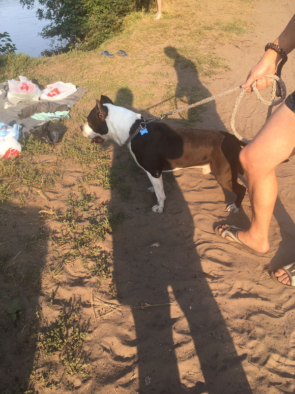 D848BBD2-C0E5-45A9-86F9-6D647215DA6C