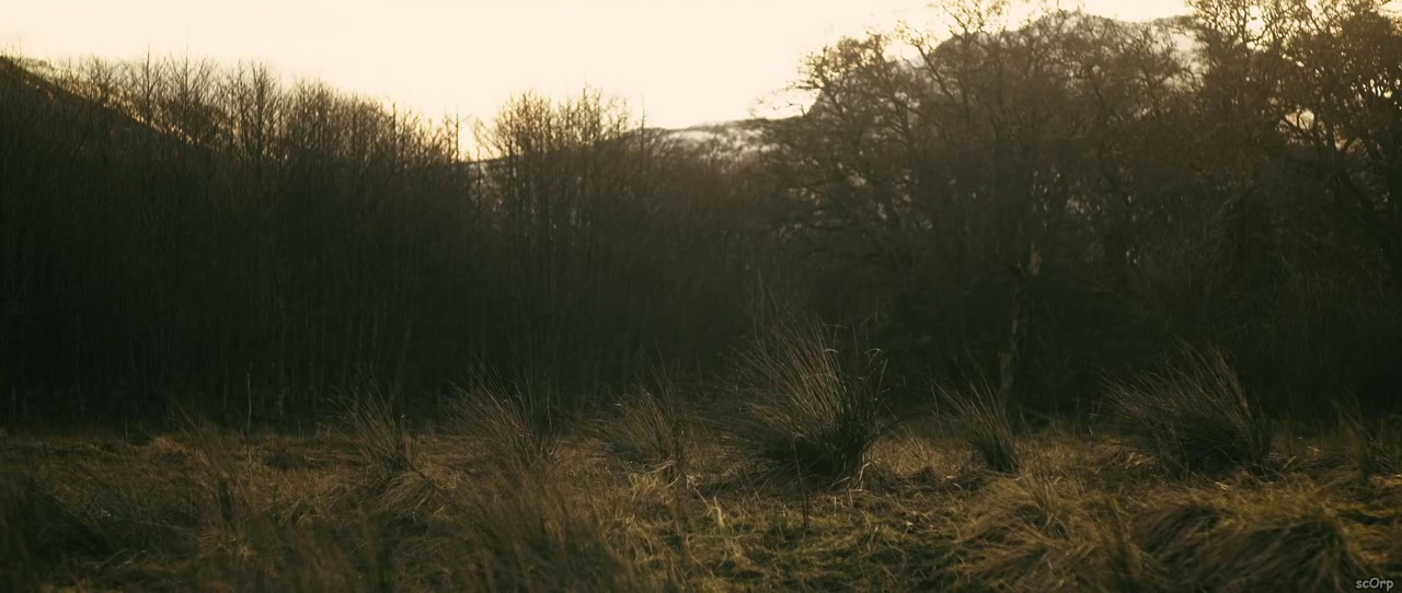 300mbunited.me--00001