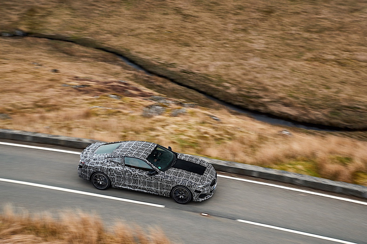 BMW 8 Series Coupe (30)