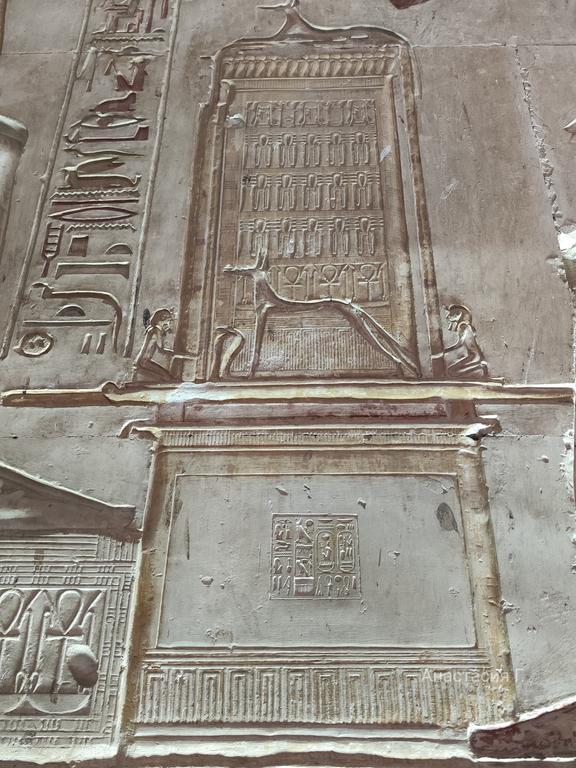 Ленивый Египет (Хургада, Луксор, Каир), декабрь 2025 - январь 2026