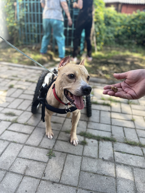 C186A7E0-1581-4B6F-BAF9-7A64F4D0B499