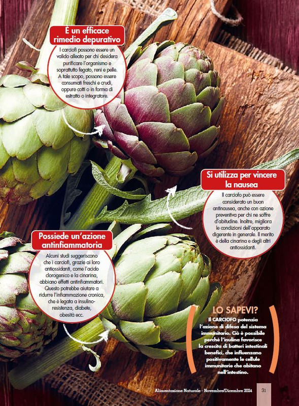 Alim Nat Nov-Dic 2024 (4)