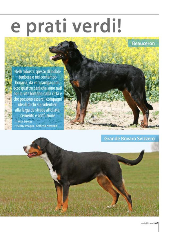 Il M C Mag-Giu 2024 (10)