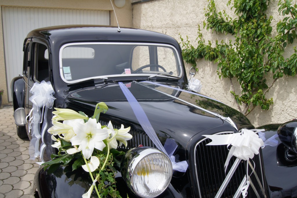 DSC02139-1024x681