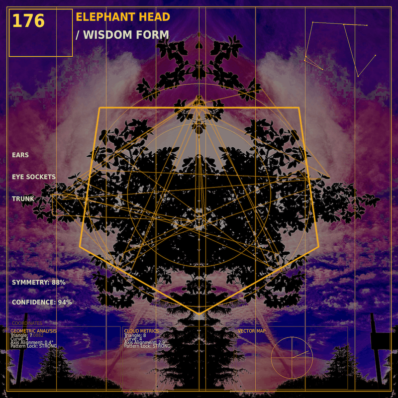Elephant head