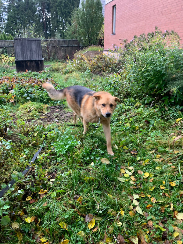 B955BD25-5430-49F0-92DE-63D82AE69FAB