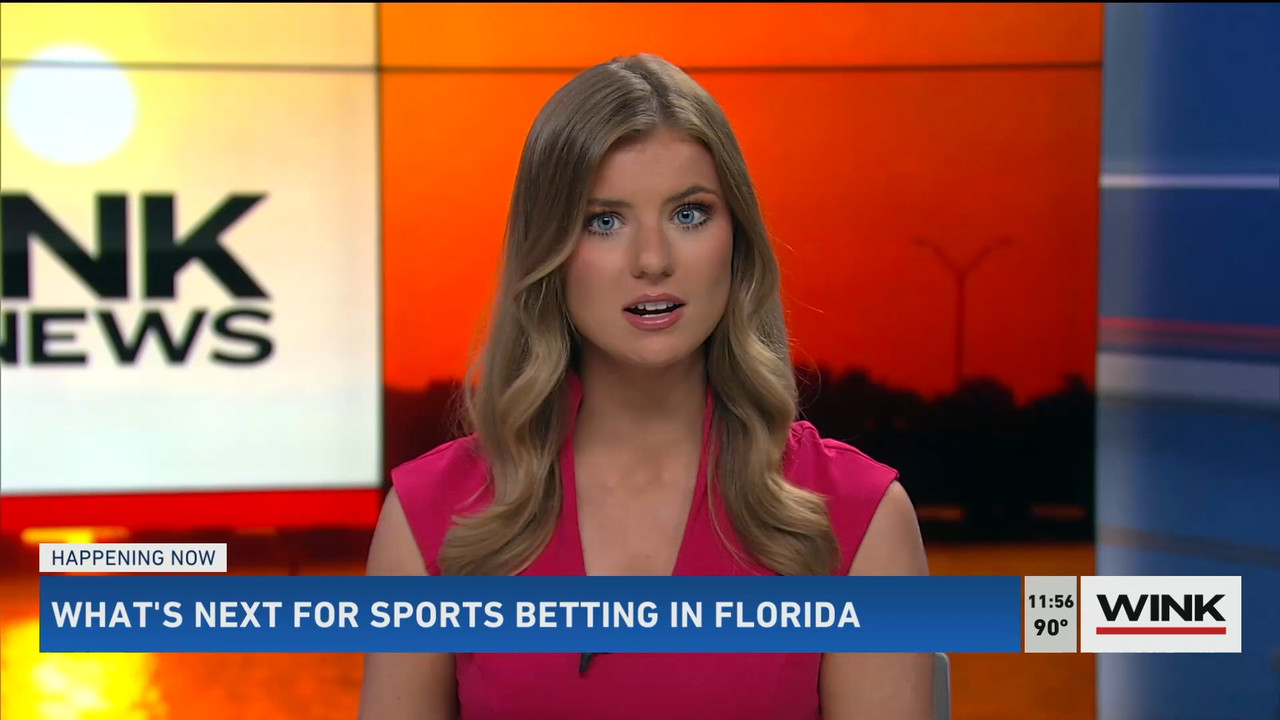 07.09 - 16.30.00 - WINK NEWS at 11 30am. Midday news..ts_snapshot_33.12.342