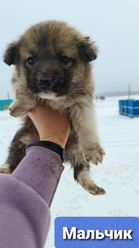 2B08850D-EDD2-48AB-A235-ADB3CB83FA2B