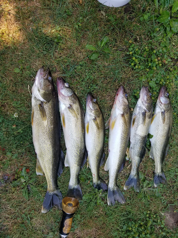 20180720_100921