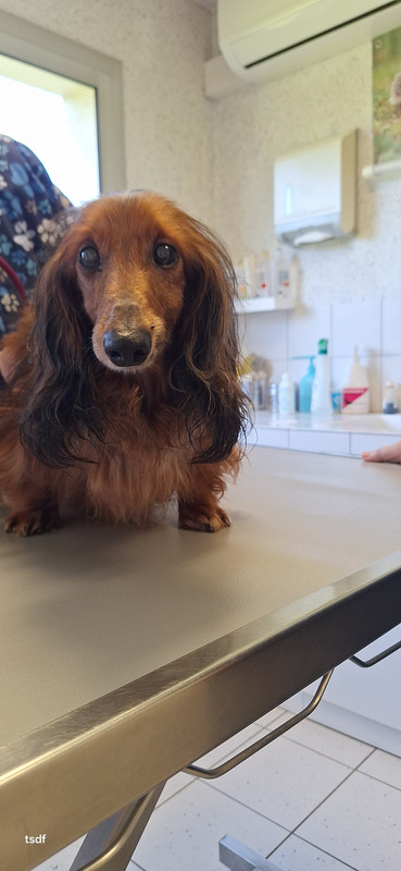 [Image: 20250331-172159.jpg]