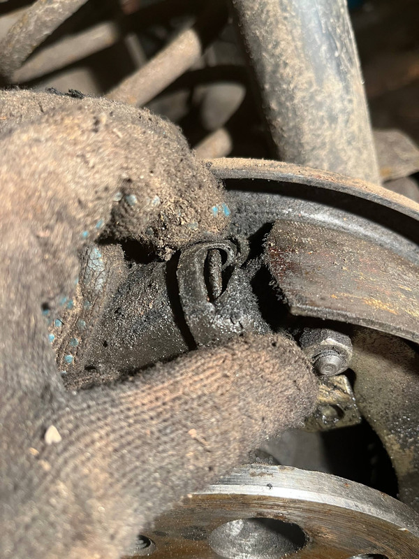 photo 7 2025 11 26 00 21 45