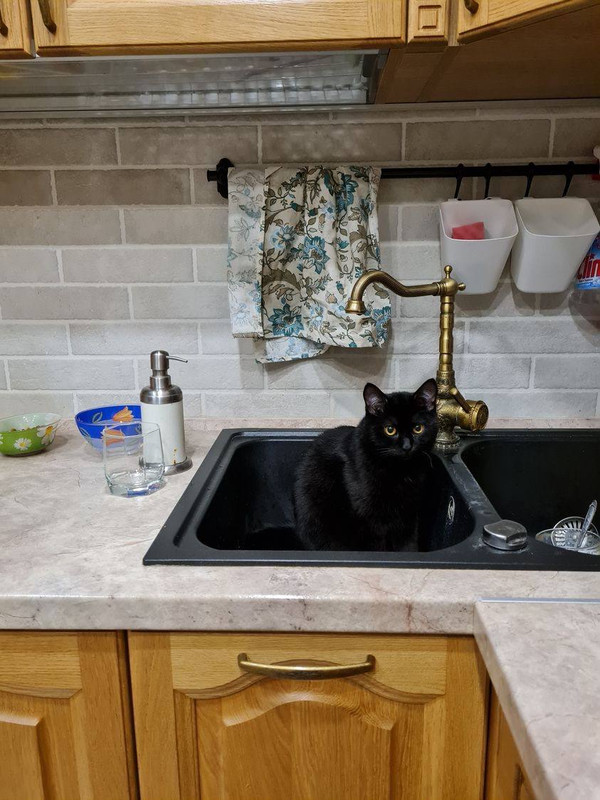 E1407AA6-2807-4DBE-9FD7-FA68C49C3709