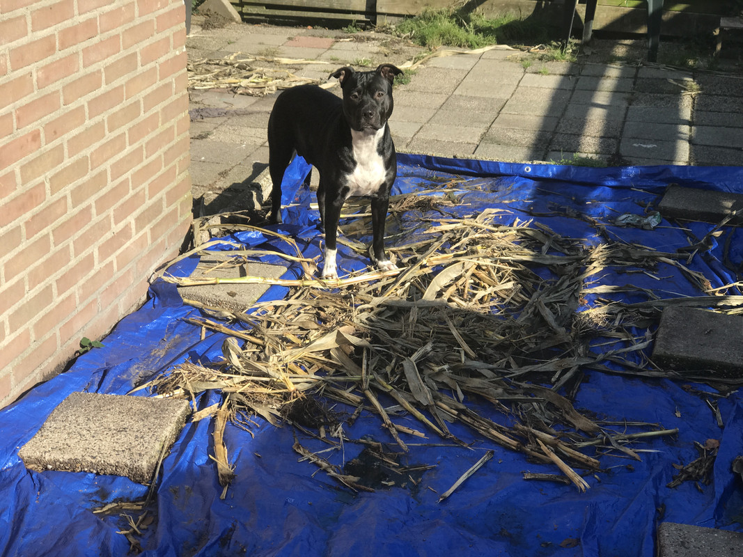 4AA1F6E8-EB4B-44D6-BC14-41B0C32B7ACC