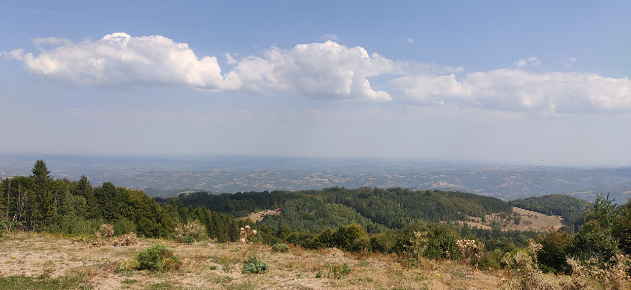 IMG20240901125215.jpg