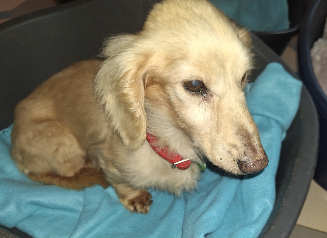 [Image: 20240524-103712.jpg]