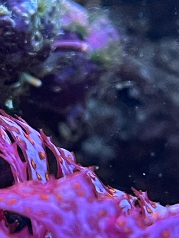 85D1D354-1745-4BFB-959B-E4A0E1BDB4E4