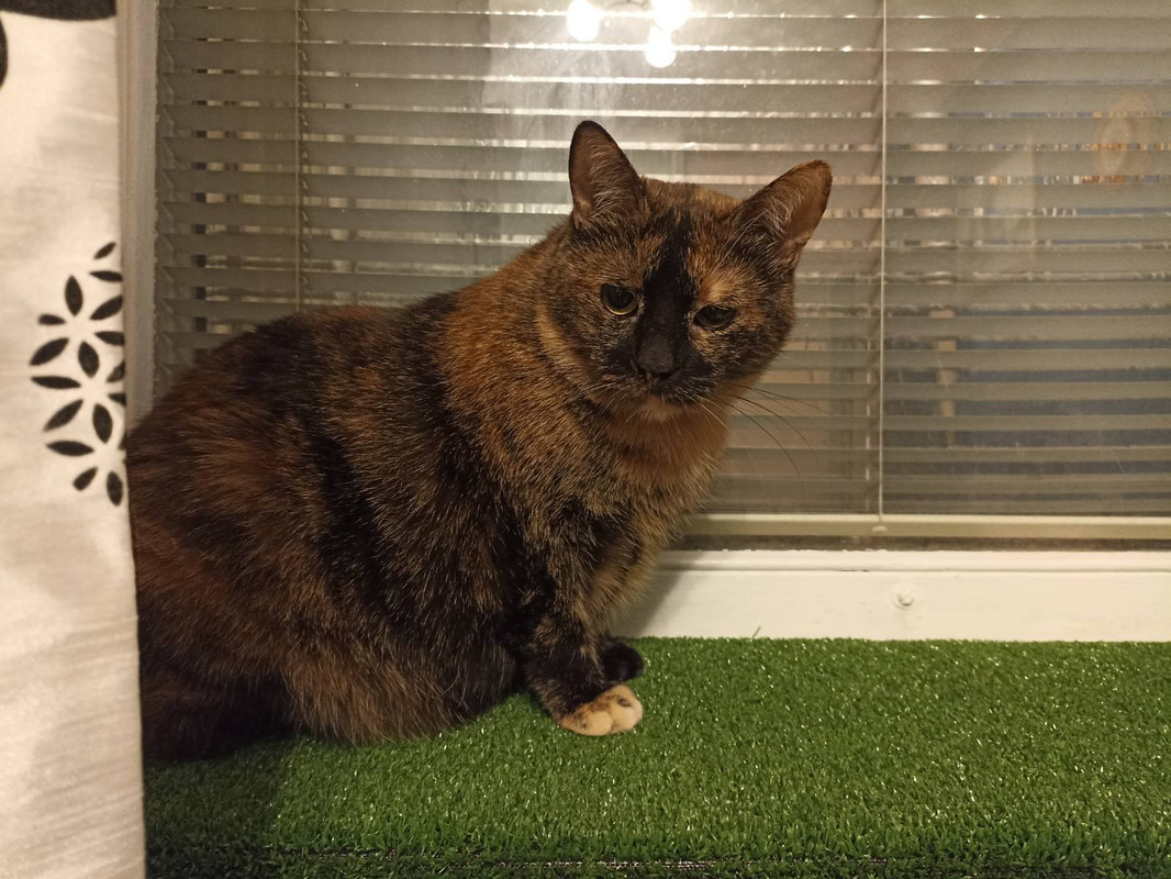 изображение_viber_2022-07-28_11-24-02-429