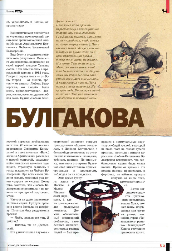 Друг кошек № 2 2009-62