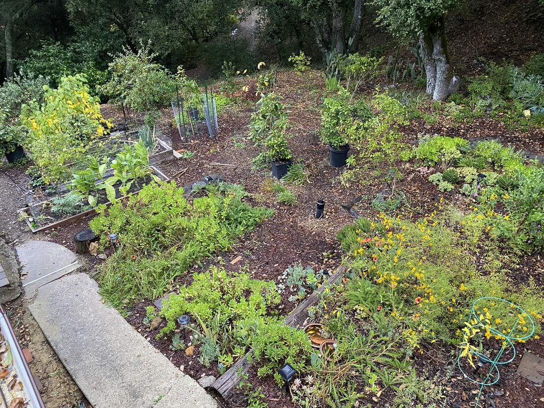 CA0BDDF9-90B8-493C-9F7F-652CD3A8F592