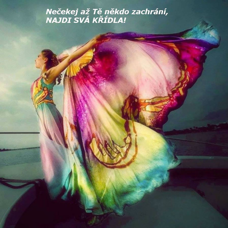 68967268_2439604602785027_6248572460946423808_n