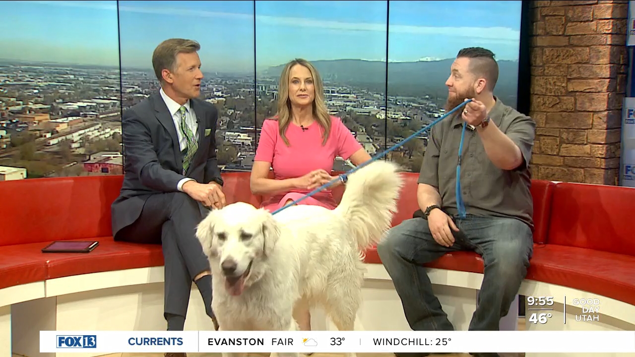 FOX13 News Good Day Utah 9AM_20240419_16001700.ts_snapshot_56.02.960