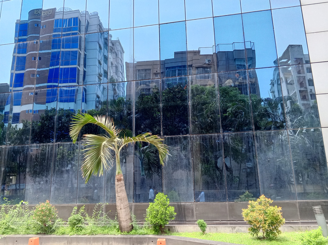 Picture of post : Reflection Hunters Contest ~ Round 216 : Reflections on a Glass Wall.