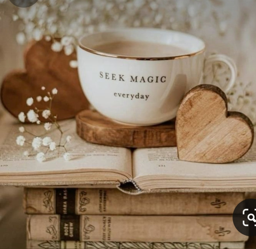 Screenshot_20240203_211838_Pinterest