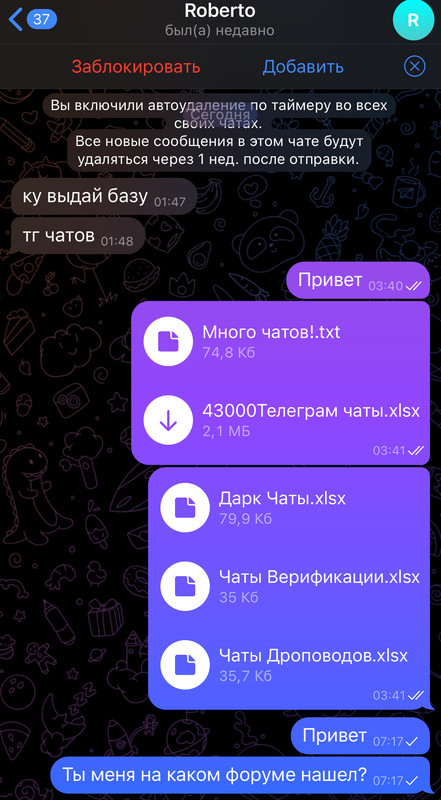 IMG-5735.jpg
