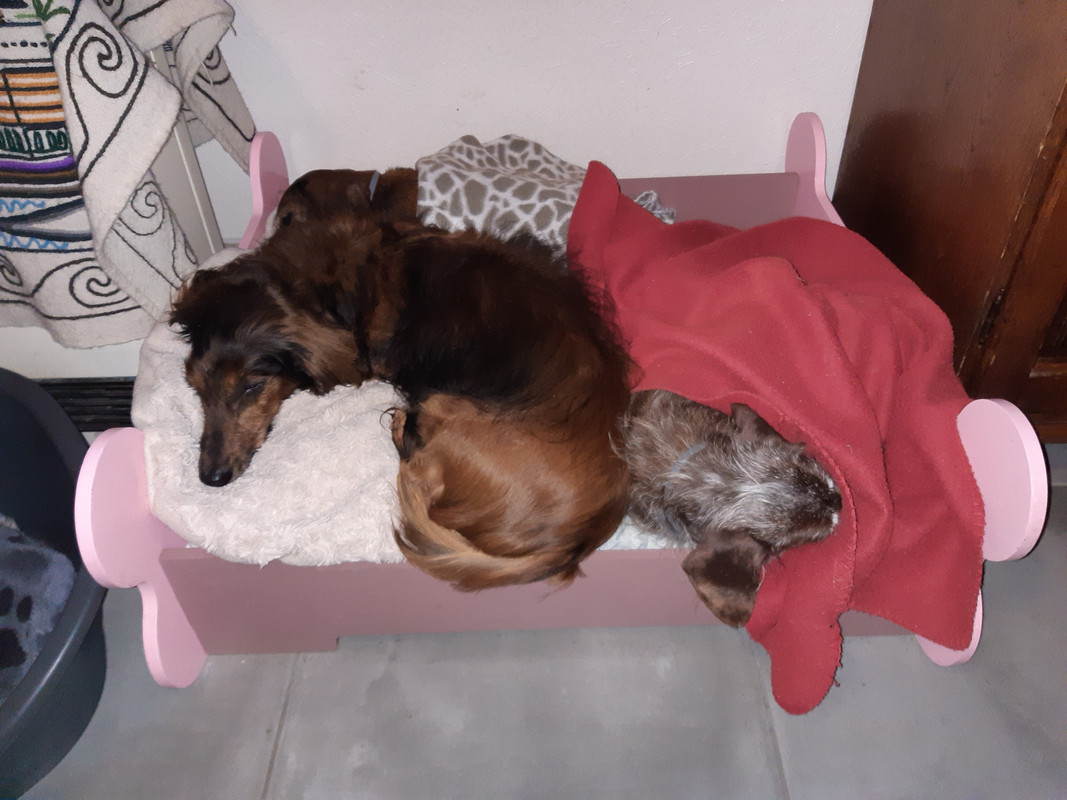 [Image: 20210803-073835.jpg]