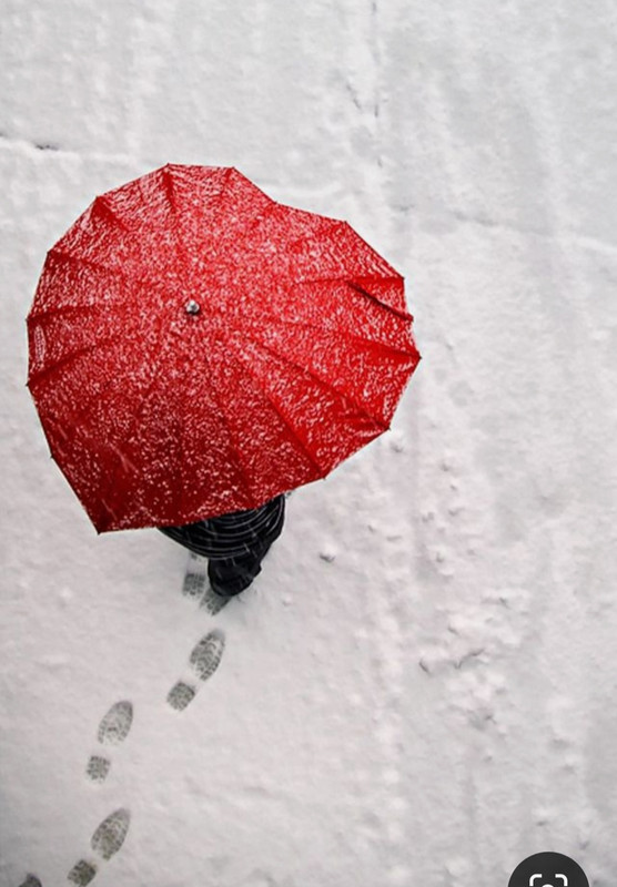 Screenshot_20231206_183818_Pinterest