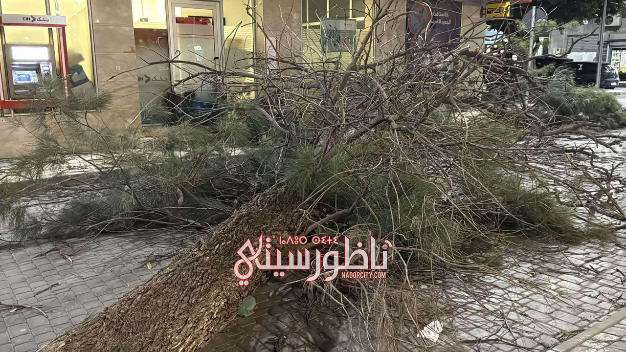 566570768-815965051418059-2958959159620166391-n