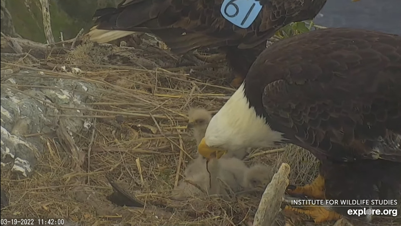 230E7BB8-0088-4BC4-A16C-48F778E441E8