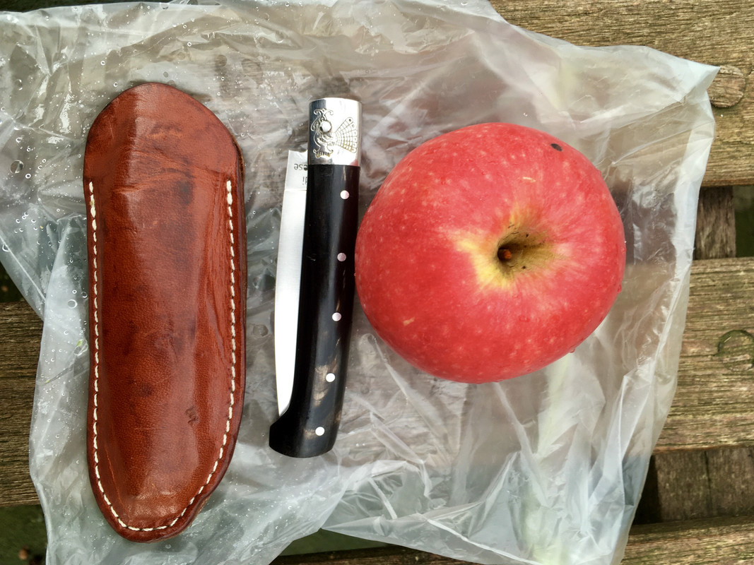 EEB27459-3C3F-40EA-91BB-8AE6F9ABD2F1