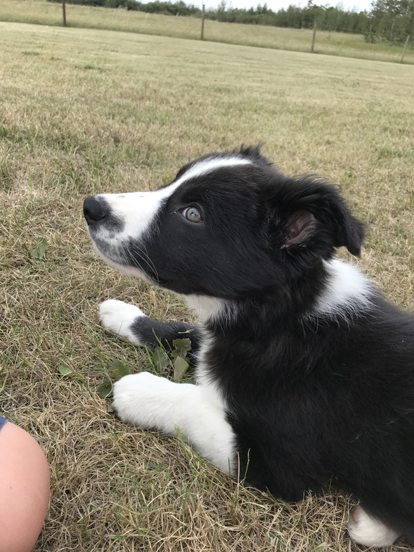 1F20D118-1802-495A-AFF4-CDEF63BEDFF9