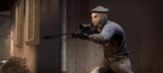 Pm-Bn-Sqj.gif